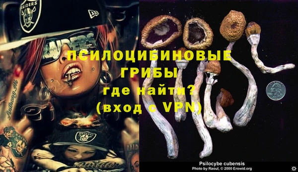 мескалин Мегион