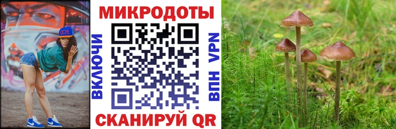 закладки  Кемерово  Галлюциногенные грибы MAGIC MUSHROOMS 